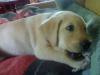 20080823555.jpg
