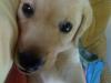 20080823554.jpg