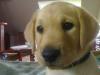 20080823552.jpg