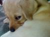 20080823550.jpg