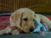 20080823547.jpg