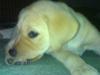20080823529.jpg