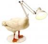 lampa-kaczka-671-OBRAZKY_PL.jpg