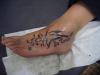 tatuaze-motyl-563_3.jpg