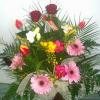 pic_47bd33238eb6f.jpg
