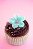cupcake.jpg