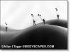 400-childrens-balloons-1-0406.jpg