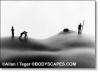 400-surveyors-020106.jpg