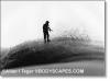 400-hedge-trimmer-0306.jpg