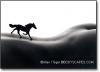 horse.jpg