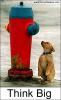 thinkbig.jpg