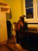 DSC00015.JPG