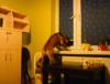 DSC00014.JPG