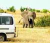 klapoluch_tanzania_serengeti.JPG