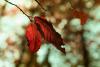 1010 022 copy.jpg