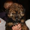 DSC05845.JPG