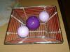 DSC07840.JPG