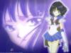 hotaru.jpg