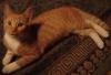 DSC06513.JPG