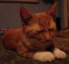 DSC06511.JPG