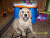 100_3576.jpg