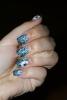 DSC07785.JPG