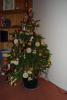 DSC_004ll0.JPG