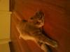 DSC00237.JPG