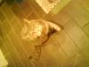DSC00302.JPG