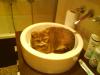 DSC00256.JPG