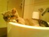 DSC00253.JPG