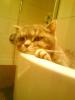 DSC00252.JPG