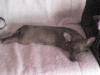 DSC00045.JPG