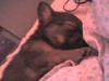 DSC00467.JPG