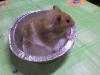 DSC00455.JPG