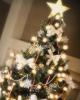 christmas_tree_star.jpg