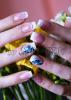 DSC07845.JPG