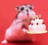 Happy-Birthday.jpg
