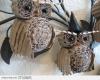 stylowi_pl_zwierzeta_owls_2046703.jpg